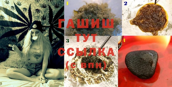 индика Новодвинск