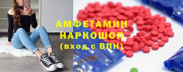 индика Новодвинск