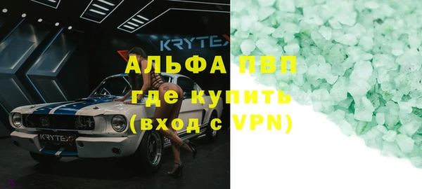 прущие грибы Нефтекумск