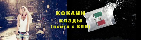 индика Новодвинск
