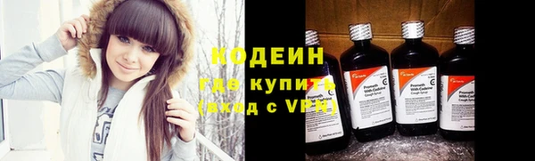 индика Новодвинск