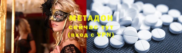 индика Новодвинск