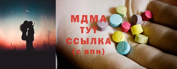 индика Новодвинск