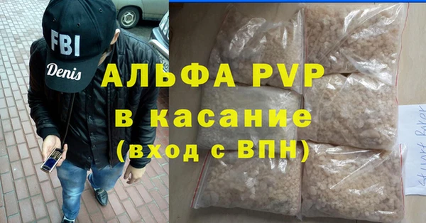 прущие грибы Нефтекумск