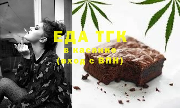 индика Новодвинск