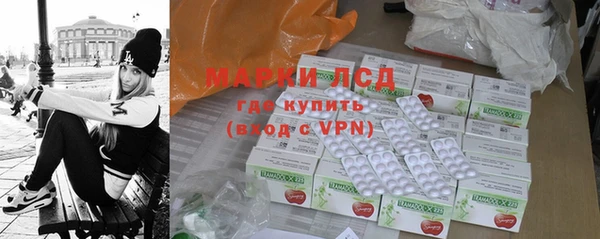 индика Новодвинск